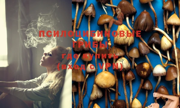 дмт Абдулино