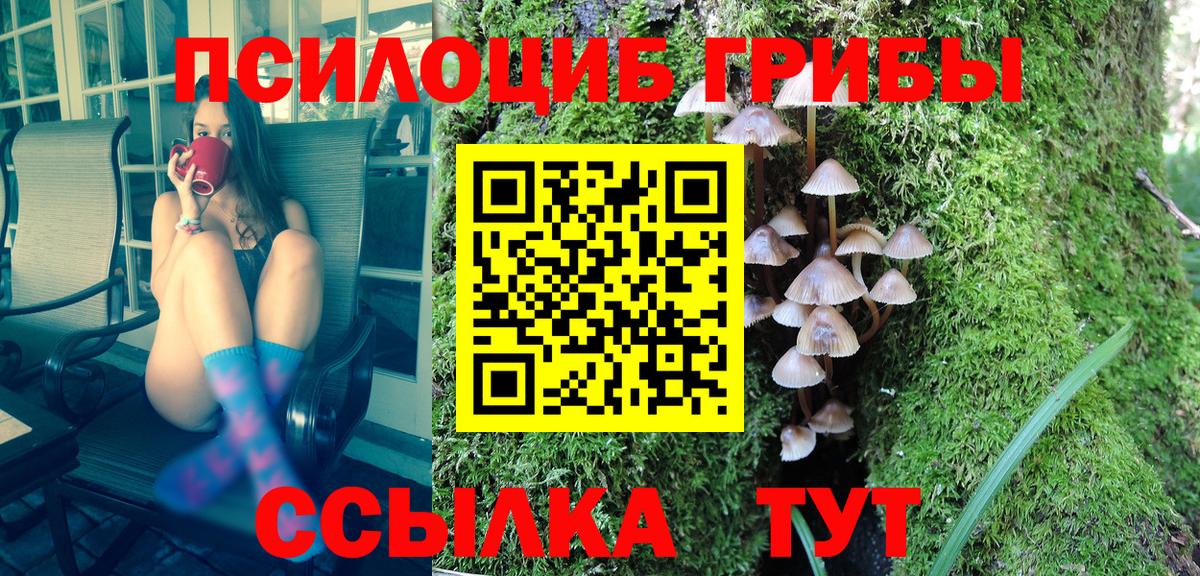 Фурманов  Галлюциногенные грибы мицелий  Вход с VPN 