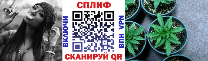 OMG ONION  Фурманов  Бошки марихуана Ganja 