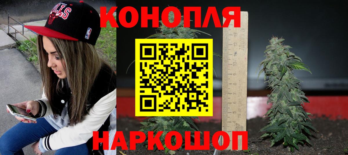 Канабис план Фурманов